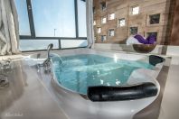 בצל עצי הזית