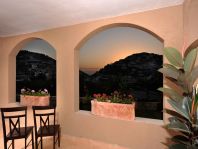 בצל הדובדבן