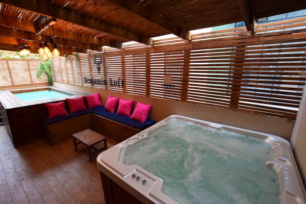 ������ ����