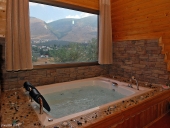 הבקתות של פלורה