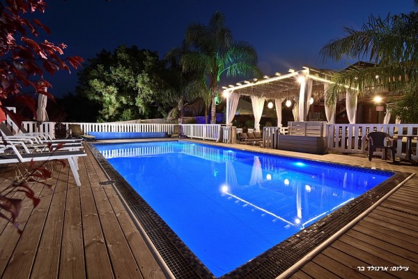 ���� ����� �����