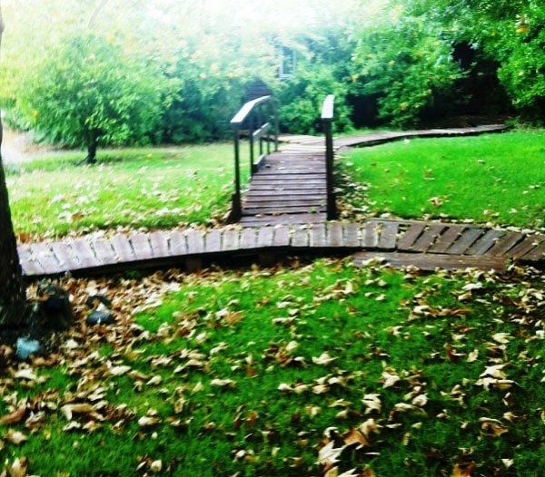 תוצאת תמונה עבור site:rrr.co.il גולן