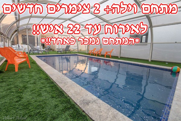 ���� ����� �����