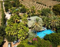 ����� ���� �����