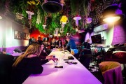    - Wonderland Loft
