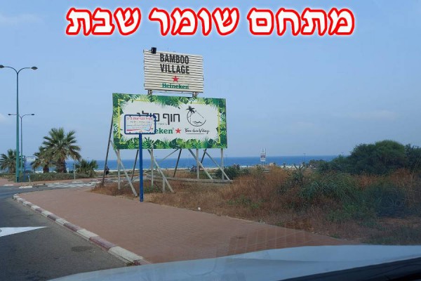 ���� ���� ����