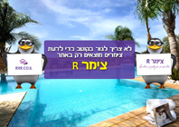 זיו האביב